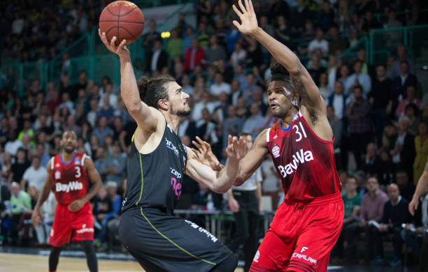 仅增加了老 仅增加了老